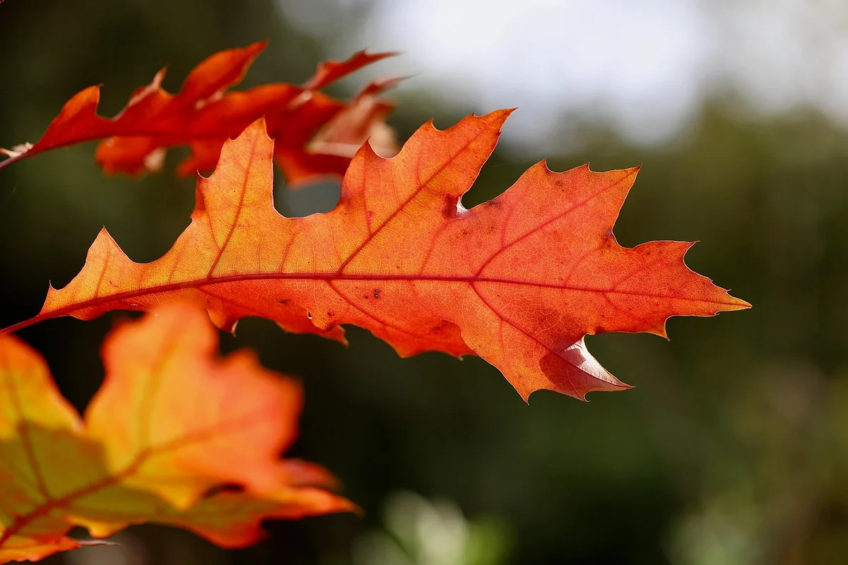 Votre carte route pour choisir le bon outil