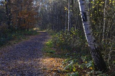 Les clés d'un leadership efficace en entreprise moderne en 2026